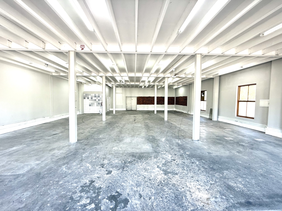 To Let commercial Property for Rent in Knysna Central Western Cape
